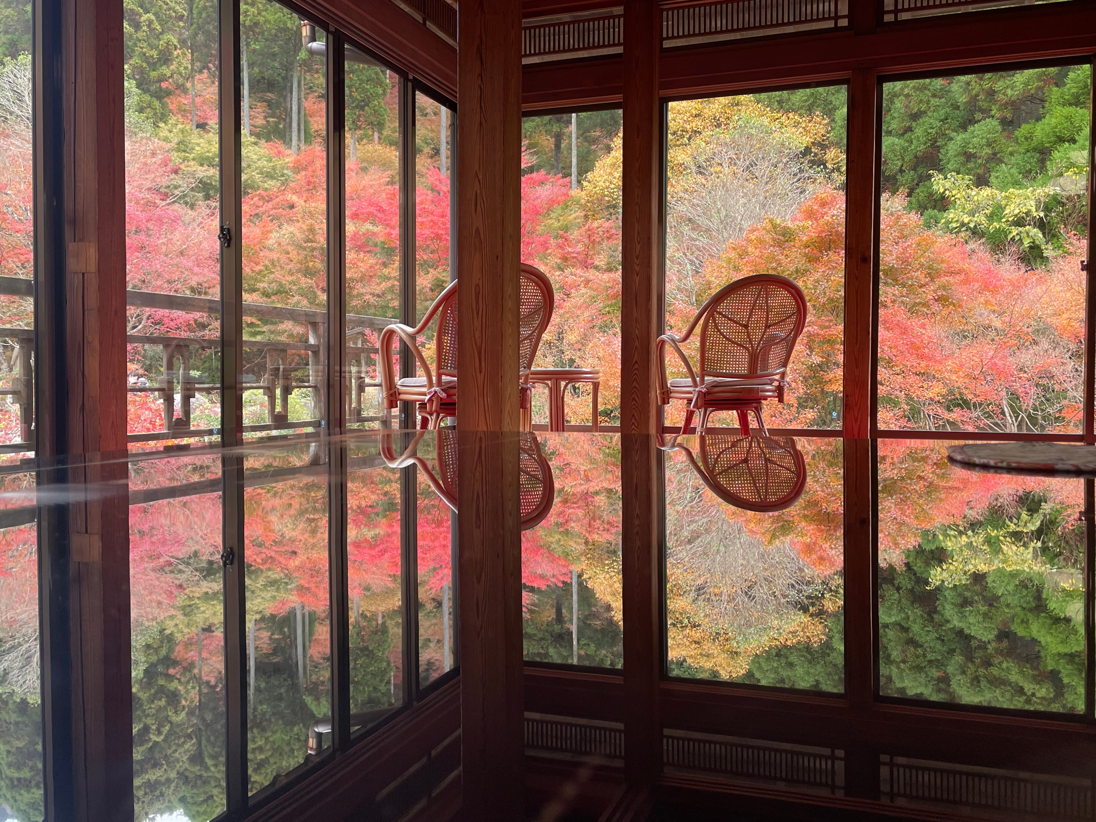 DECC2025予選に参加